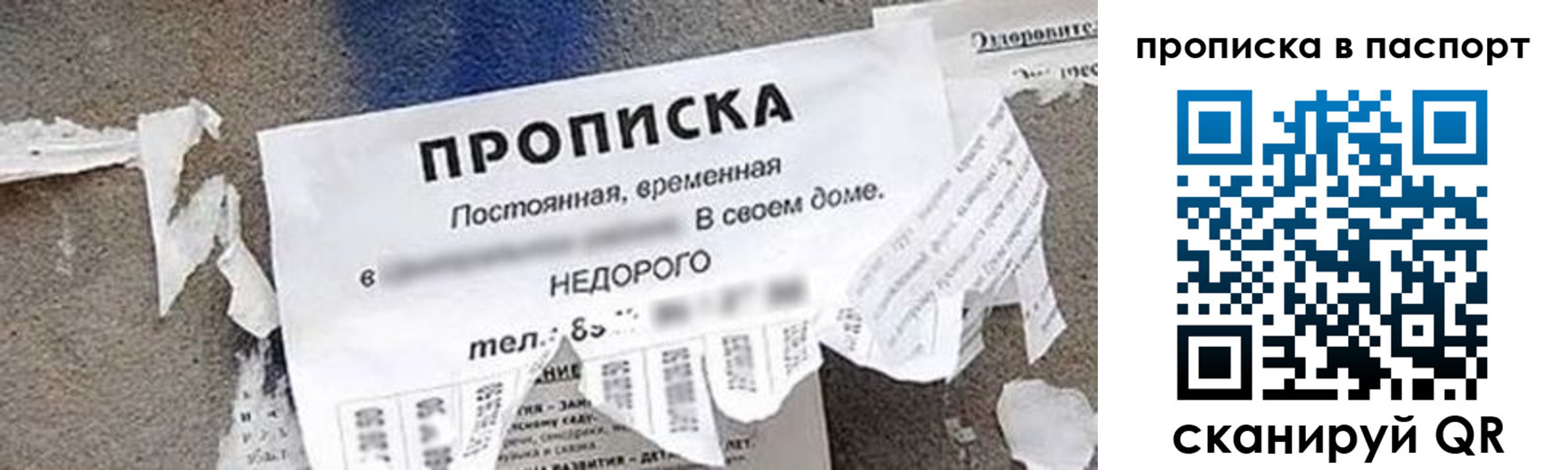 где прописаться в Карталах